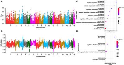 Genomic Analyses Revealed the Genetic Difference and Potential Selection Genes of Growth Traits in Two Duroc Lines